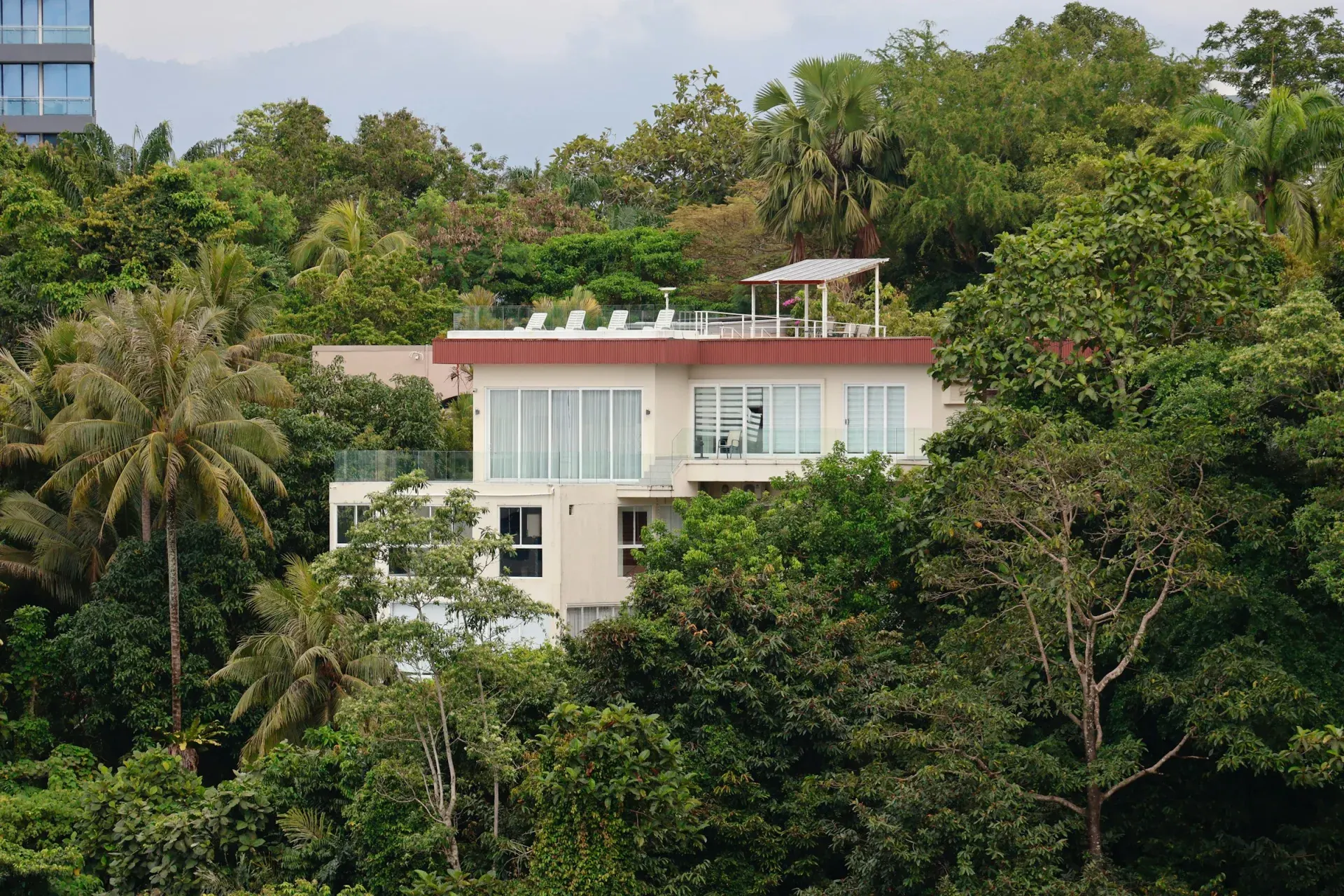 Modern villa integrated into a tropical forest — ESG as embedded practice, not certificate